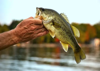 Bass Fishing Club at Lakewood in Lee's Summit, MO