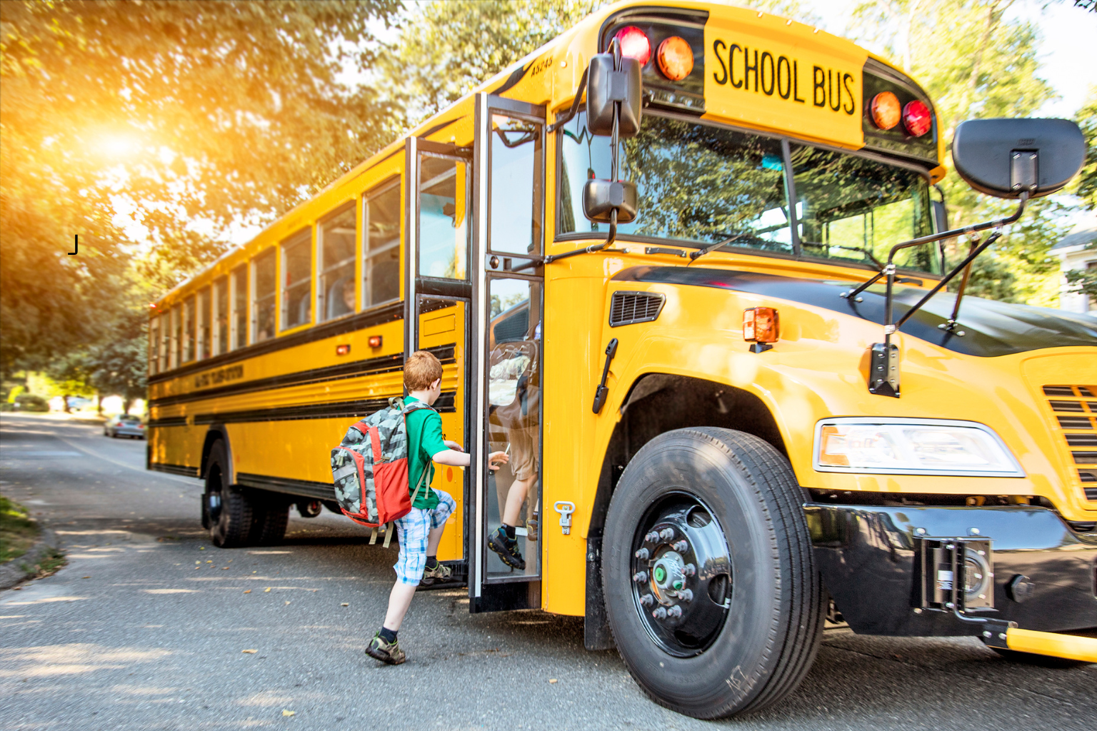 Schools in Lee's Summit, MO