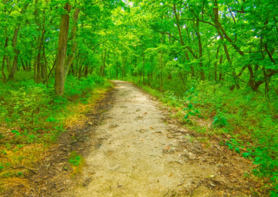 Trails in Winterset Park in Lee's Summit, MO
