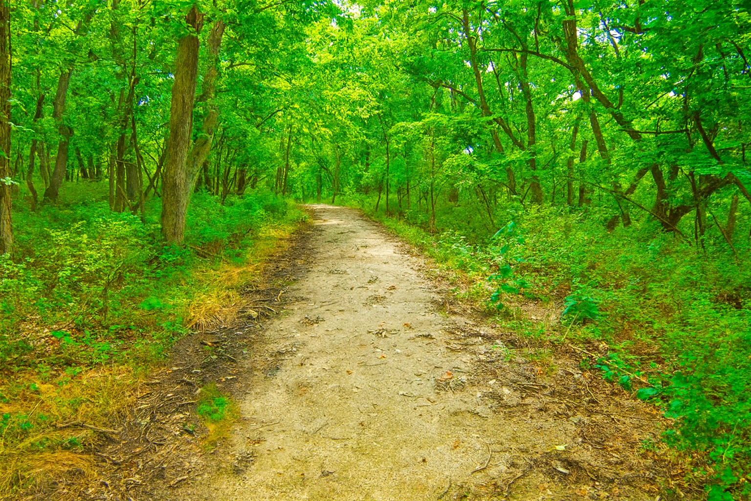 Trails in Winterset Park in Lee's Summit, MO